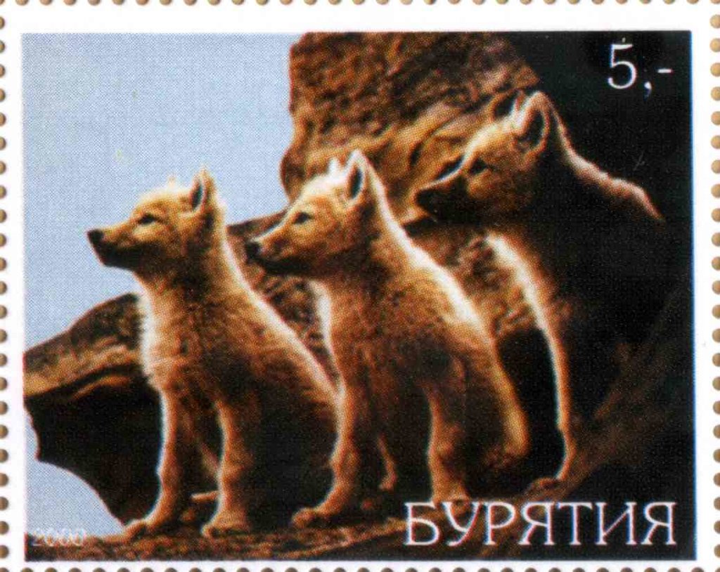 Wolves