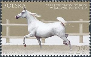 Stamp, Pilarka, Poland,  , Animals (Fauna), Horses, Mammals