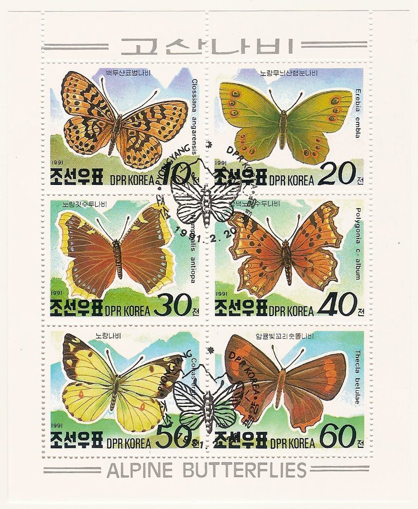 Alpine Butterfles