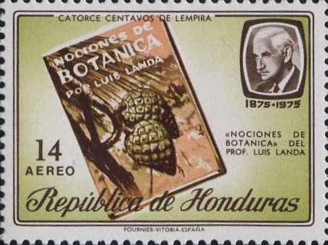 Luis Landa
