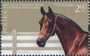 Stamp, Algeria, Poland,  , Animals (Fauna), Horses, Mammals