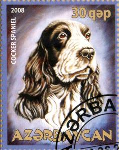 Stamp, Cocker Spaniel, Cinderellas,  , Animals (Fauna), Dogs