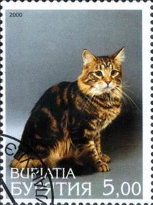 Stamp, Cat, Cinderellas,  , Animals (Fauna), Cats