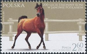 Stamp, Pinga, Poland,  , Animals (Fauna), Horses, Mammals