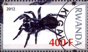 Stamp, Spiders, Cinderellas,  , Animals (Fauna), Insects, Spiders