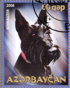 Stamp, Schnauzer, Cinderellas,  , Animals (Fauna), Dogs