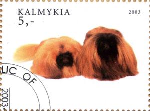 Stamp, Dog, Cinderellas,  , Animals (Fauna), Dogs