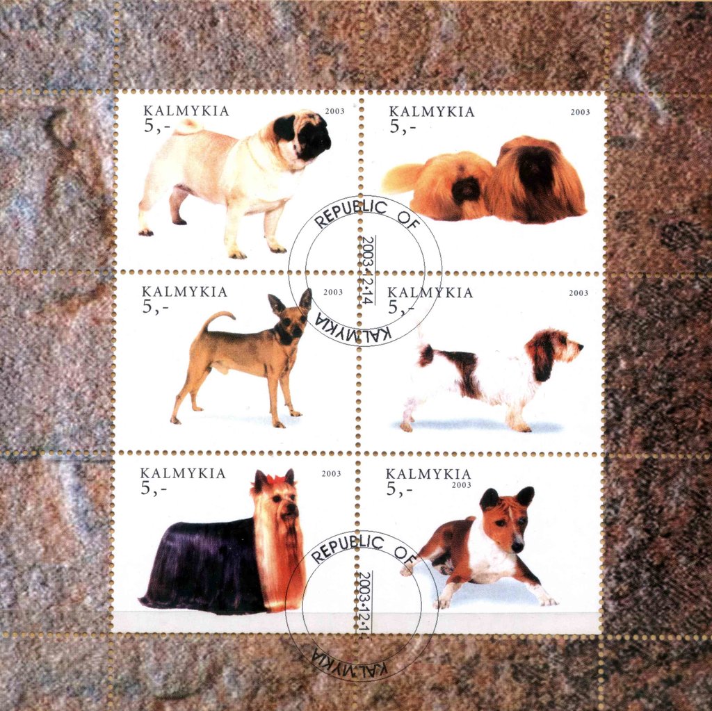 Dogs