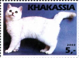 Stamp, Cat, Cinderellas,  , Animals (Fauna), Cats