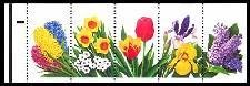 Garden Flowers Strip of 5