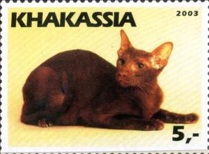 Stamp, Cat, Cinderellas,  , Animals (Fauna), Cats