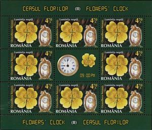 Mini Sheet, Common evening primrose (Oenothera biennis L.) MS, Romania,  , Clocks, Flowers, Plants (Flora)