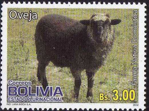 Sheep (Ovis ammon aries)