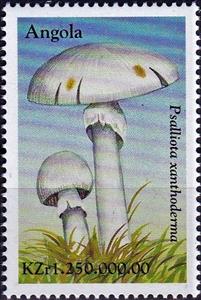Stamp, Psalliota xanthoderma, Angola,  , Mushrooms