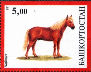 Stamp, Haflinger, Cinderellas,  , Animals (Fauna), Horses