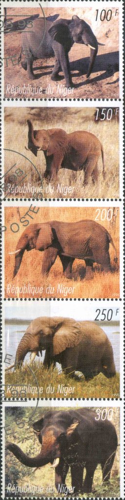 Elephants