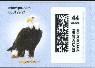 Bald eagle