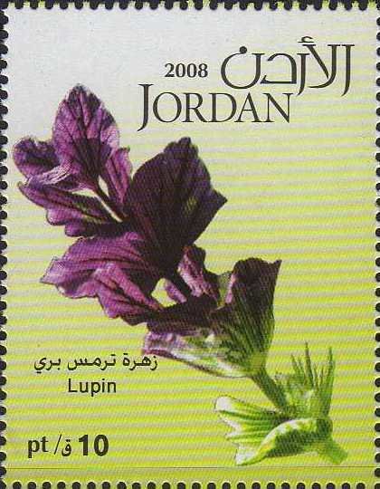 Lupin