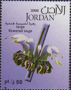 Stamp, Large flowered sage, Jordan,  , Flowers, Plants (Flora)