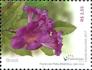 Stamp, Ipê Rosa, Brazil,  , Flowers, Plants (Flora)