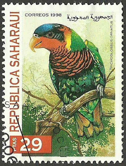 Parrots