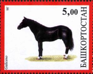 Stamp, Galiceno, Cinderellas,  , Animals (Fauna), Horses