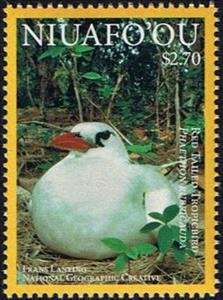 Stamp, Red Tailed Tropicbird (Phaethon rubricauda), Niuafo'ou,  , Animals (Fauna), Birds