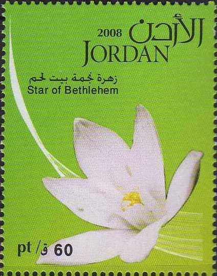 Star of Bethlehem