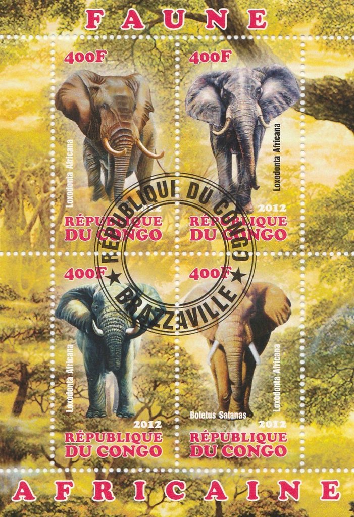 Elephants