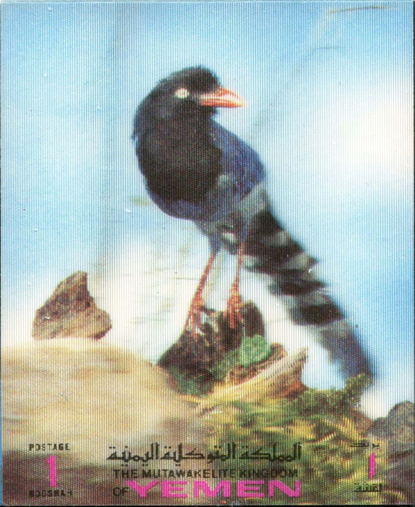 Birds 3-D