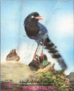 Stamp, Birds 3-D, Yemen, Kingdom,  , Animals (Fauna), Birds