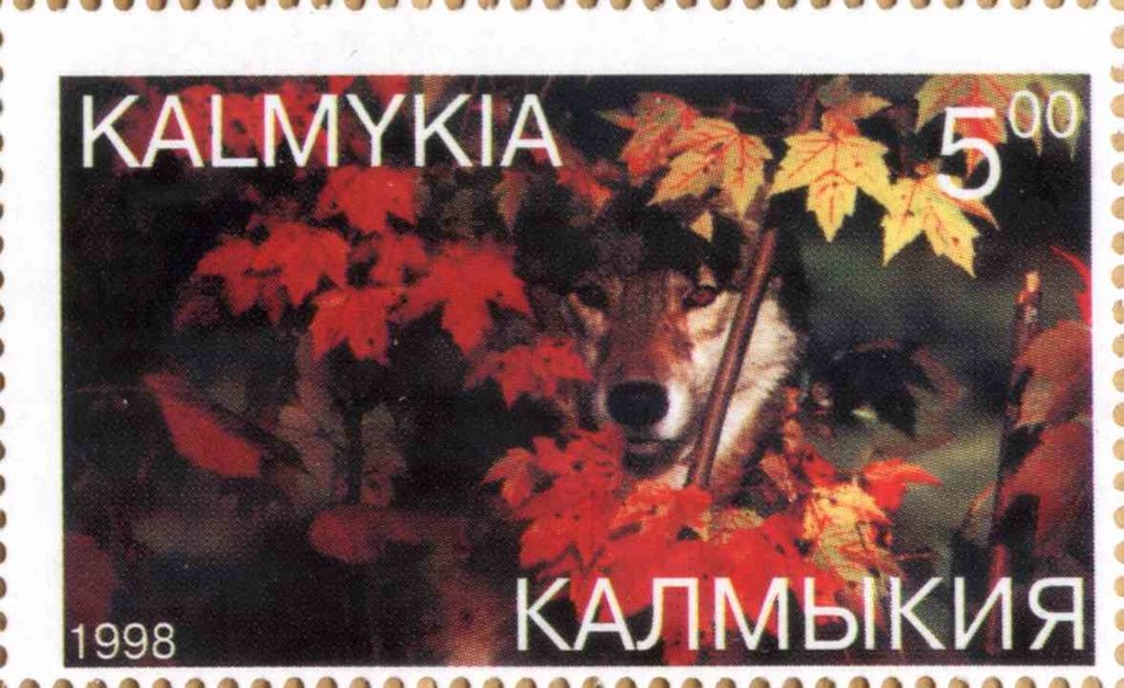 Wolves