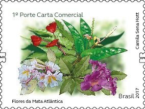 Flowers of the Atlantic Forest