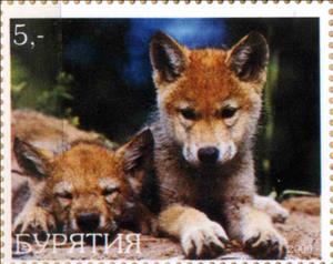 Stamp, Wolves, Cinderellas,  , Animals (Fauna), Wolves