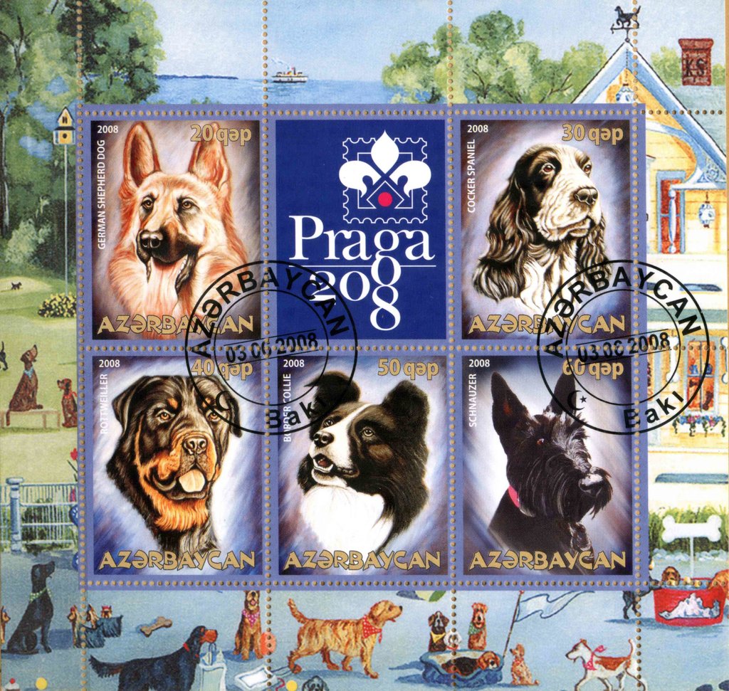 Dogs