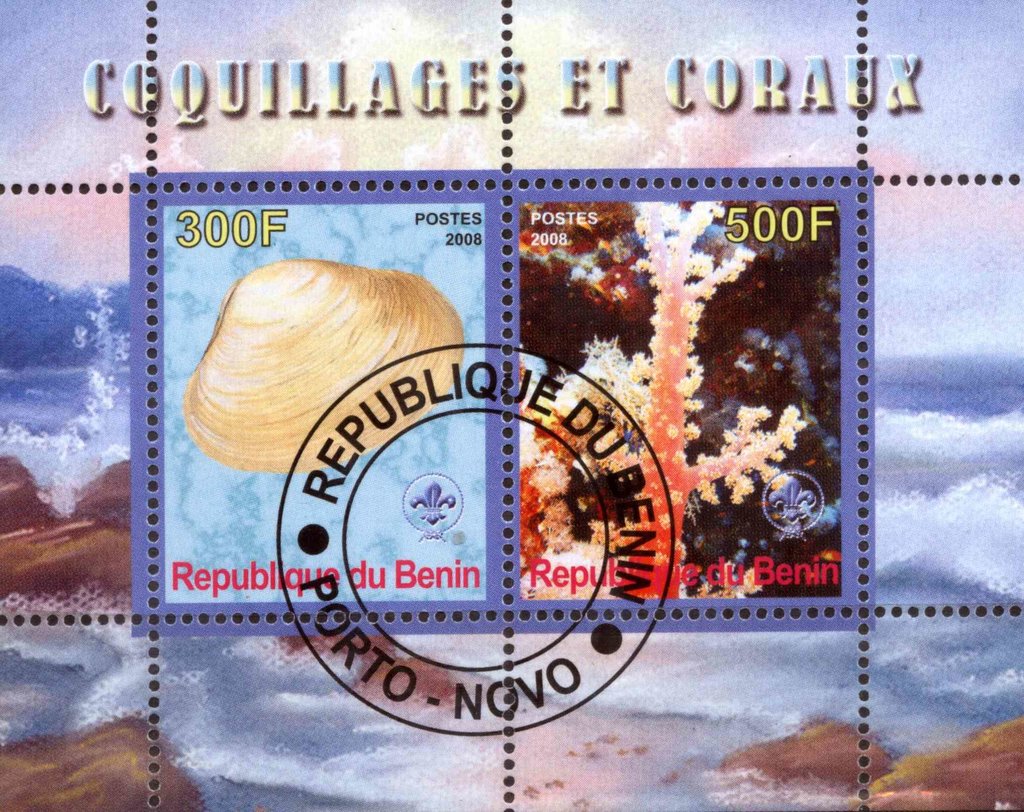 Coquillages et Coraux
