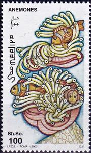 Stamp, Anemone, Somalia,  , Animals (Fauna), Sea Life