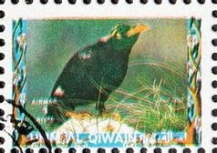 Stamp, Bird, Umm al-Qiwain,  , Animals (Fauna), Birds