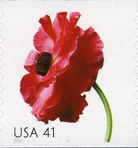 Poppy