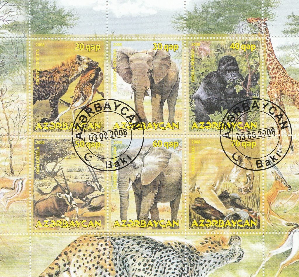 African Fauna