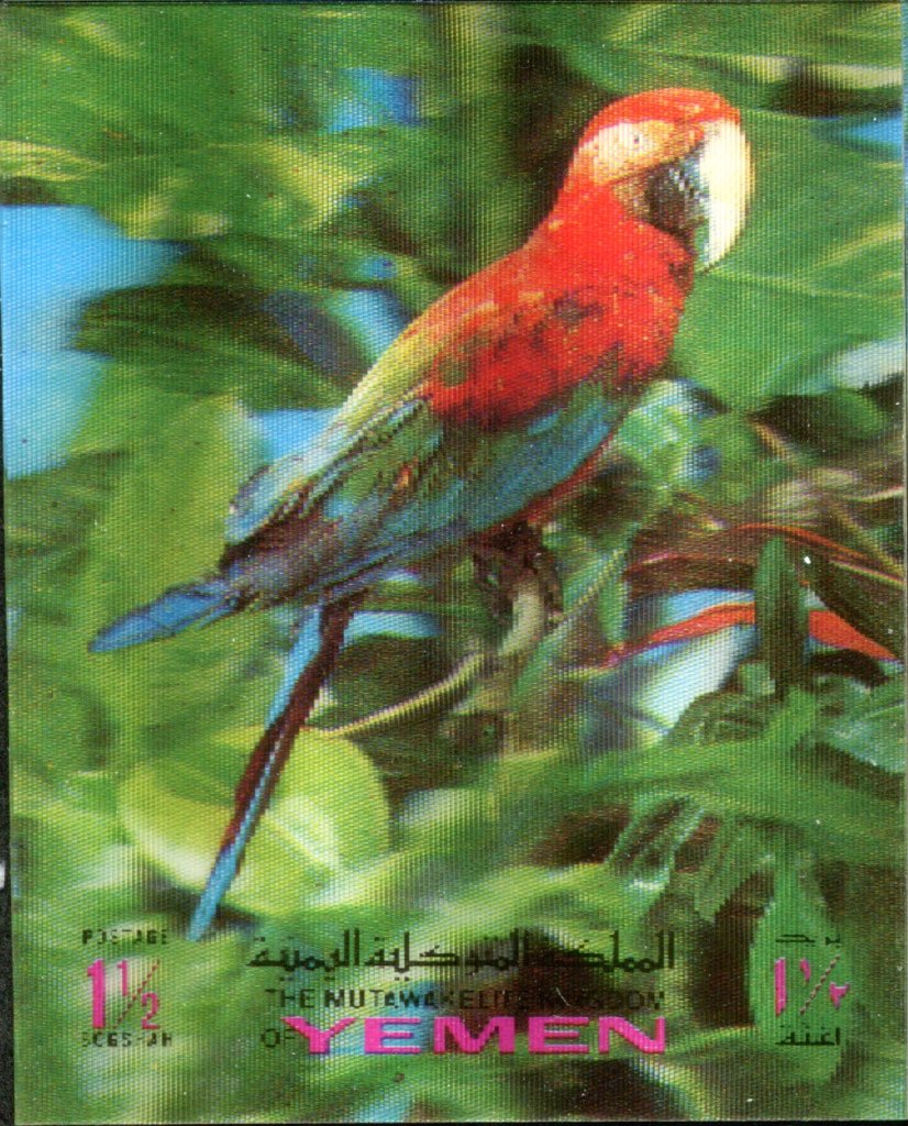 Birds 3-D