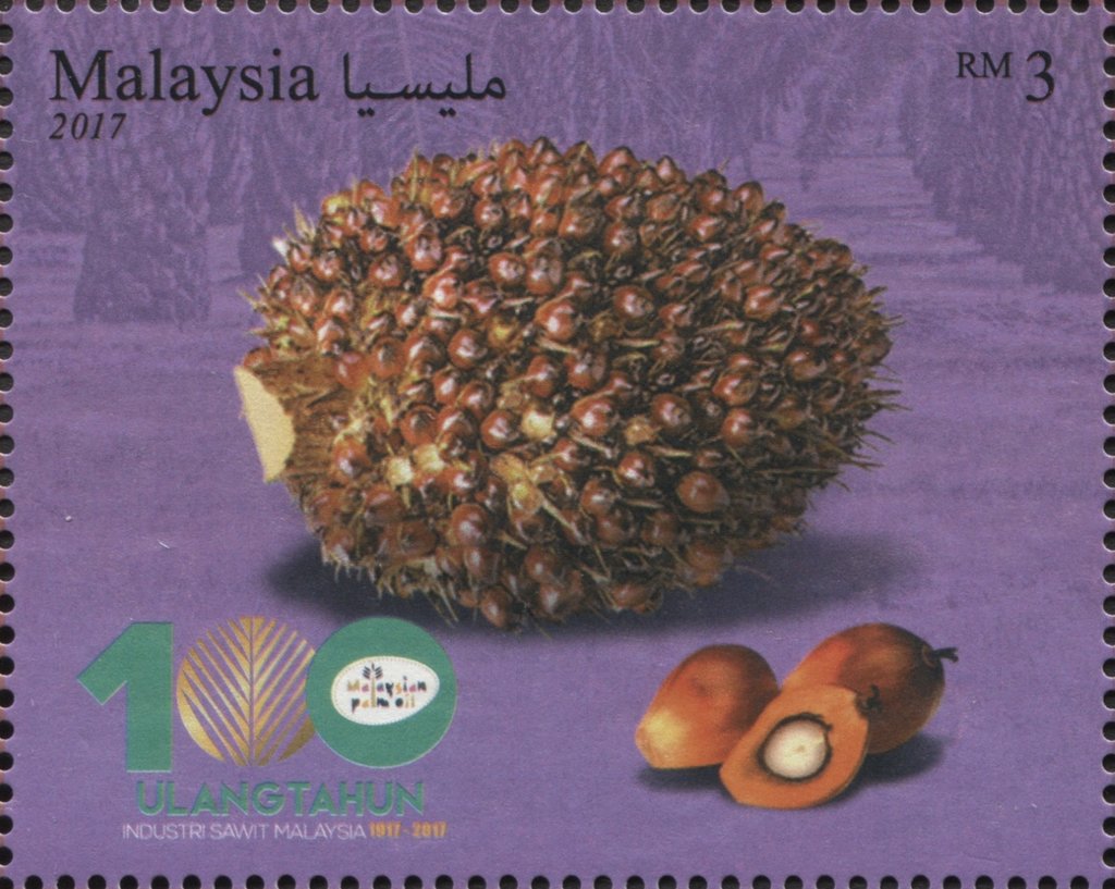 Palm fruit cluster