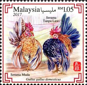 Stamp, Serama Bantam (Gallus gallus domesticus), Malaysia,  , Animals (Fauna), Birds, Poultry, Roosters and Chickens