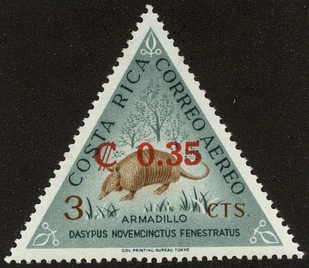 Armadillo