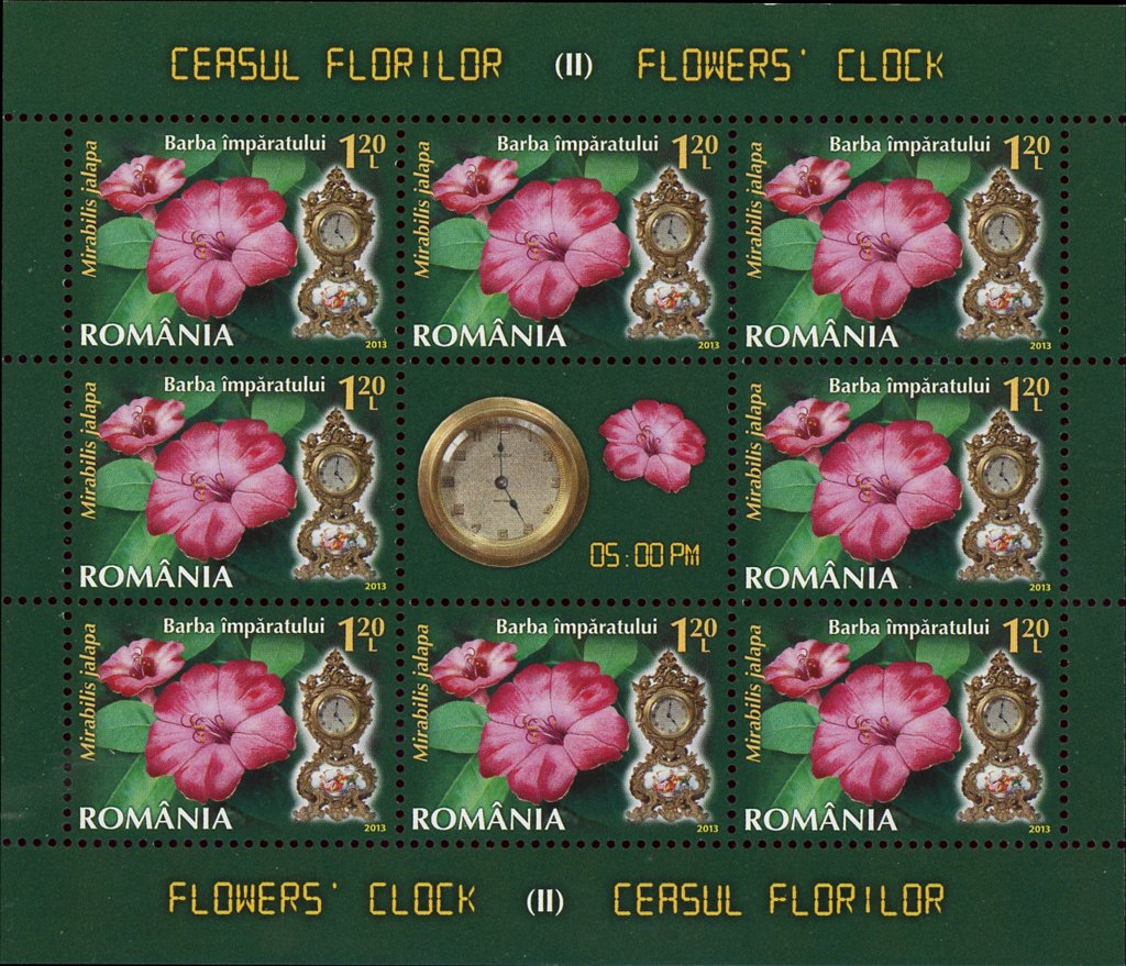 Marvel of Peru (Mirabilis jalapa L.) MS