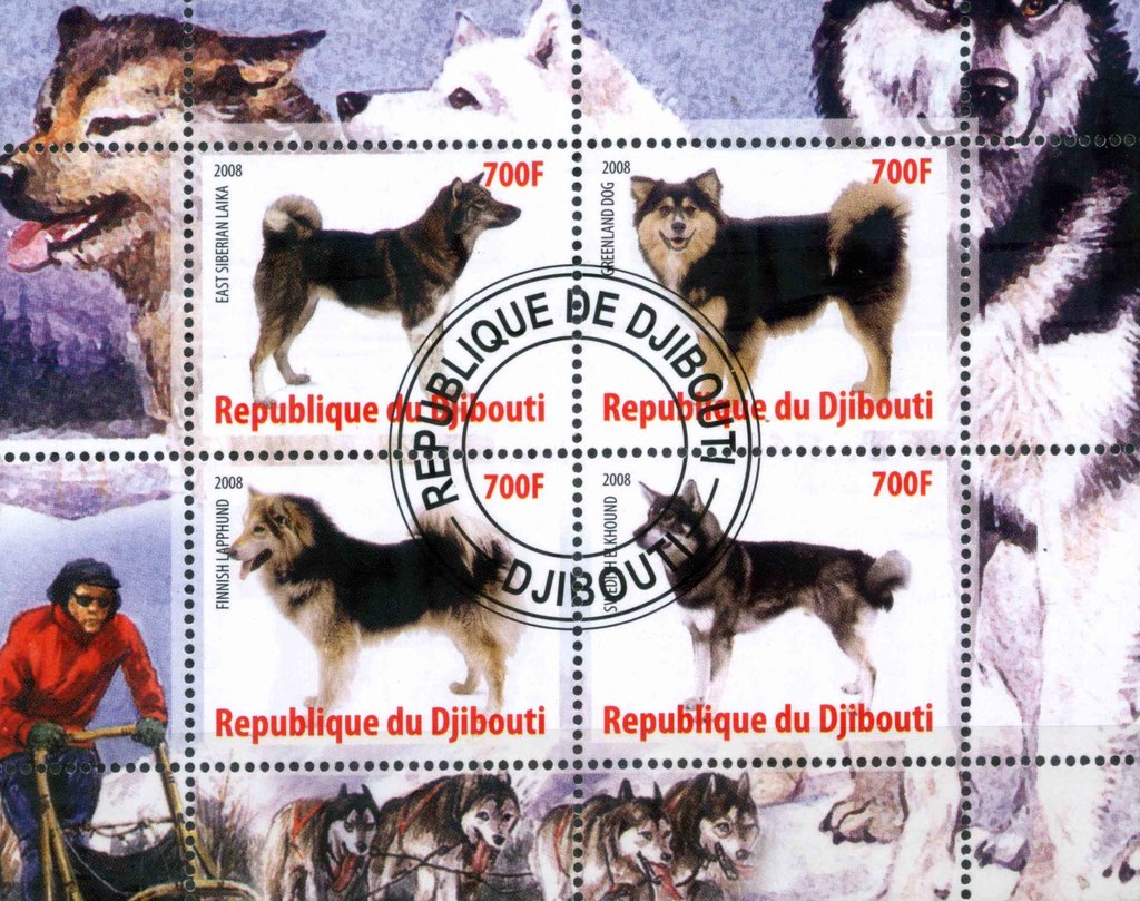 Dogs