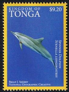 Stamp, Spinner Dolphin  (Stenella longirostris), Tonga,  , Animals (Fauna), Dolphins, Mammals, Sea (Marine) Mammals, Sea Life