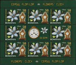 Mini Sheet, Branched St Bernard's-lily (Anthericum ramosum L.) MS, Romania,  , Clocks, Flowers, Lilies (Flower), Plants (Flora)