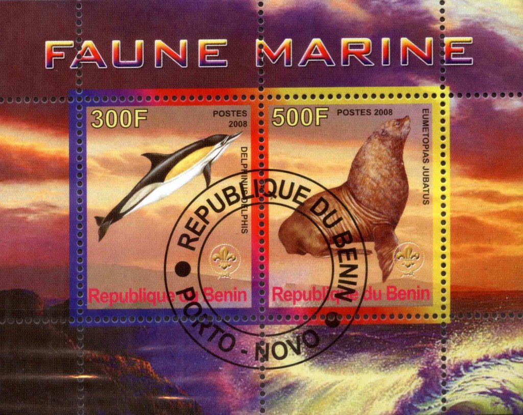 Faune Marine