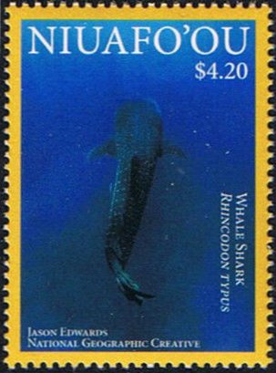 Whale Shark (Rhincodon typus)
